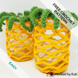 pineapple jar covers free crochet pattern from Hooked by Kati feature pic