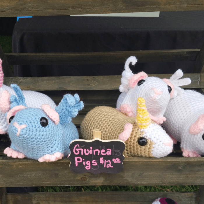 Image of guineacorns at a craft fair